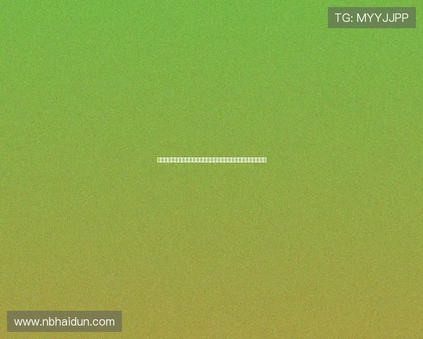 西甲主帅的战术变革与球队风格演变分析：从传统到现代的挑战与机遇